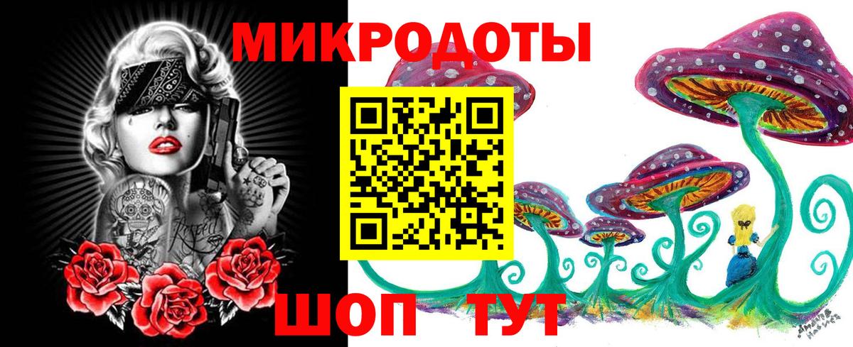 Галлюциногенные грибы Psilocybe  Вход с VPN  Бузулук 